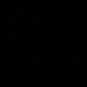 Meet your Posher, Beau